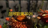 足球联盟2026